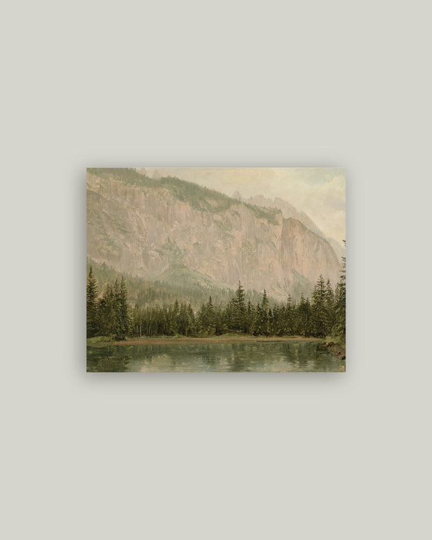 Mountain Pine Board