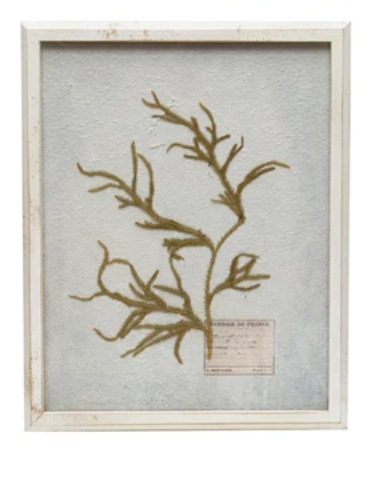 White Framed Botanical Art, 6 styles