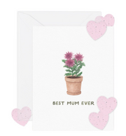 Best Mum w/ Seed Paper Card