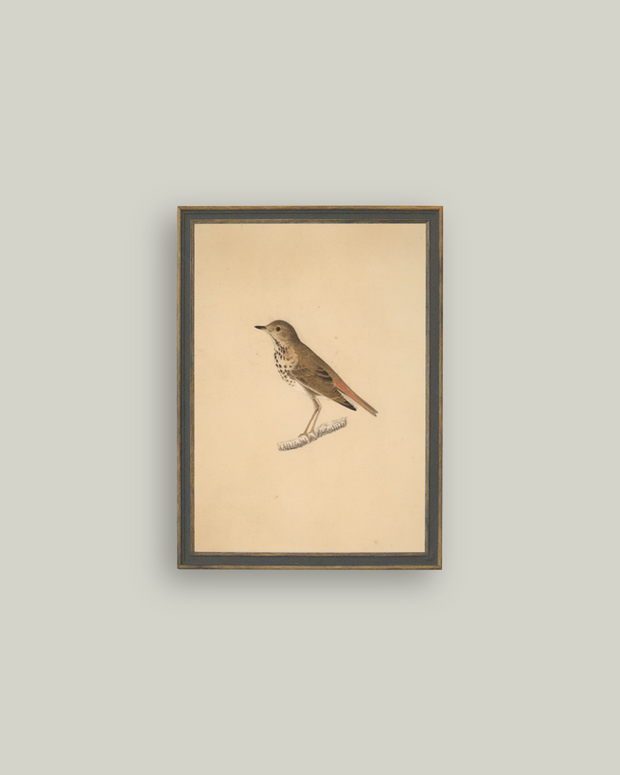 Bird on Branch Frame Art
