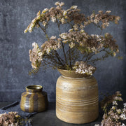 Queen Anne's Lace, Blush