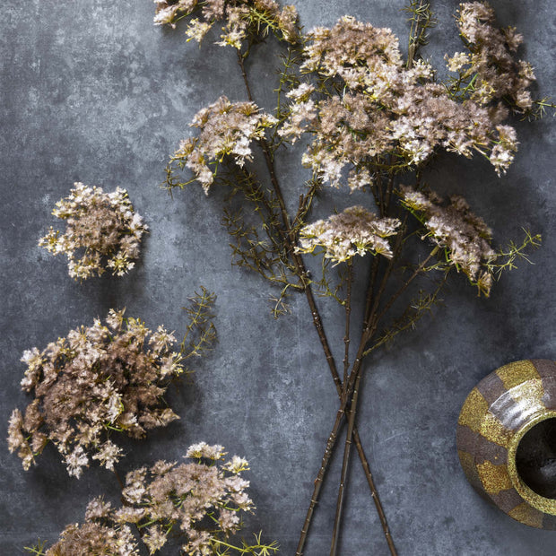 Queen Anne's Lace, Blush