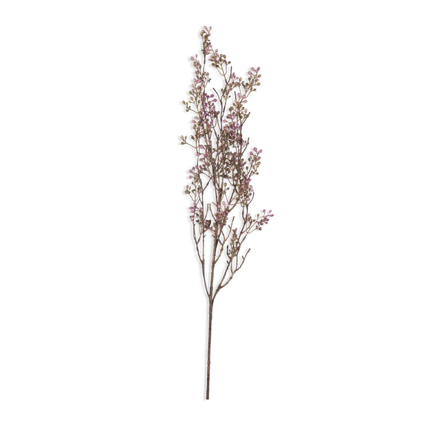 Berry Branch, Lilac