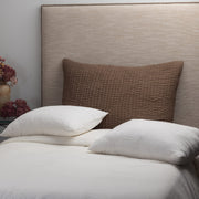 Maegan Tobacco Sham, Dutch Euro