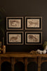 Four framed animal prints on a dark wall above a wooden console table.