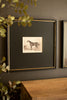 A framed vintage horse print with a black mat and gold rope-style frame, hanging on a dark gray wall above a wooden console table with decorative greenery in the foreground.