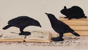 Flocked Resin Crow, Set of 2