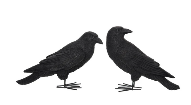 Black Crow Decor, Set of 2