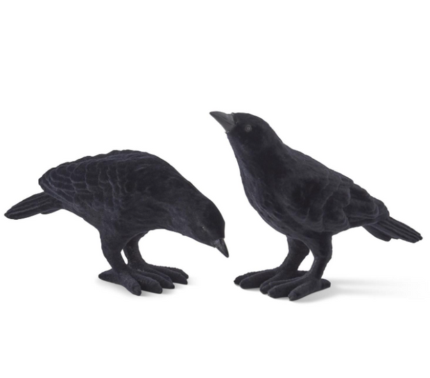 Black Velvet Flocked Resin Crow, Set of 2
