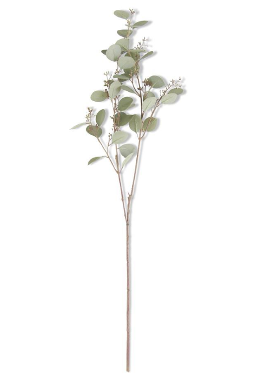 Green Budding Eucalyptus Stem, 33"