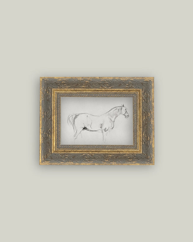 Horse Sketch Frame Art