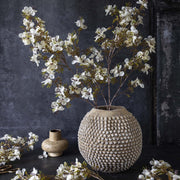 Prunus Blossom, Cream