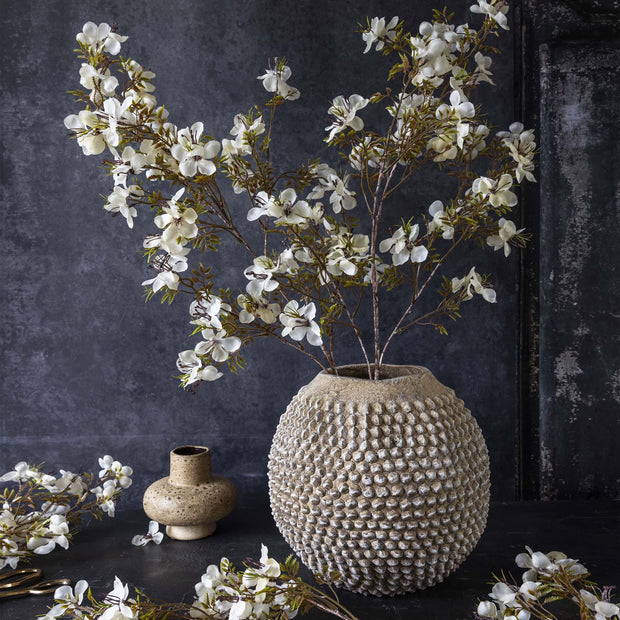 Prunus Blossom, Cream