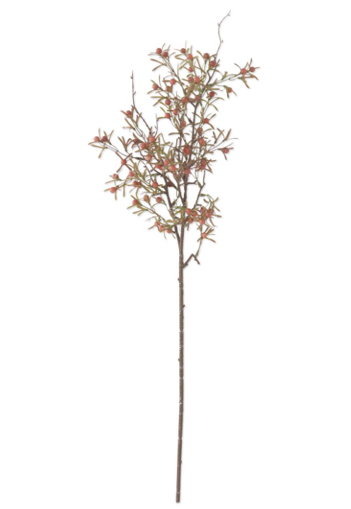 Orange Rust Berry Stem, 30