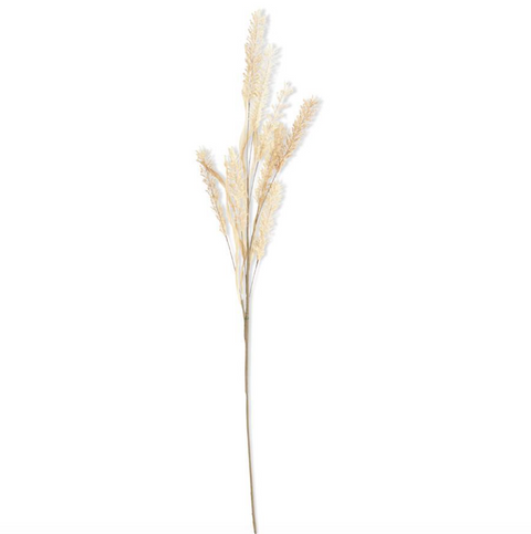 35" Natural Pampas Grass Spray