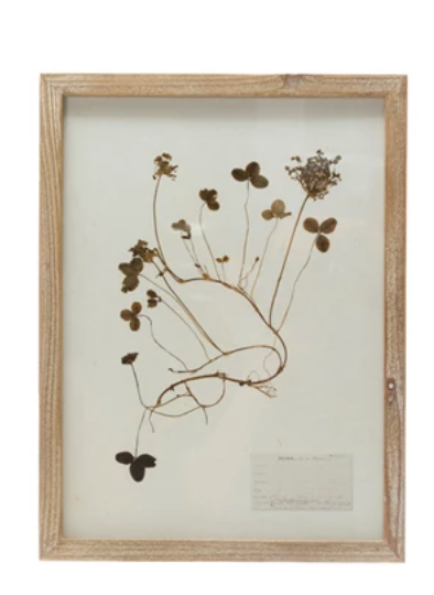 Framed Wall Decor with Botanicals, 6 Various Styles