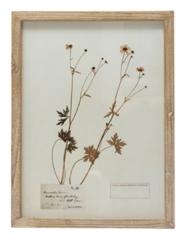 Framed Wall Decor with Botanicals, 6 Various Styles