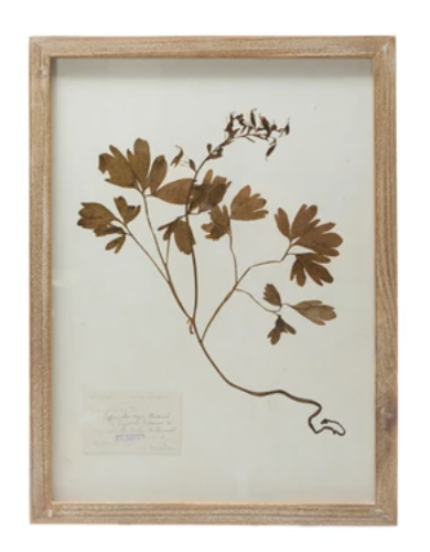 Framed Wall Decor with Botanicals, 6 Various Styles