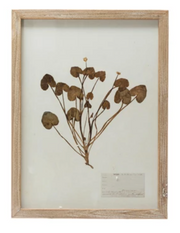 Framed Wall Decor with Botanicals, 6 Various Styles