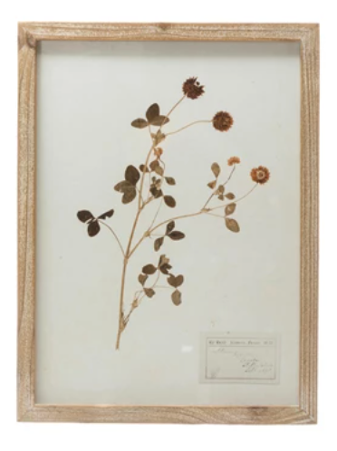 Framed Wall Decor with Botanicals, 6 Various Styles