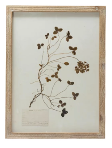 Framed Wall Decor with Botanicals, 6 Various Styles