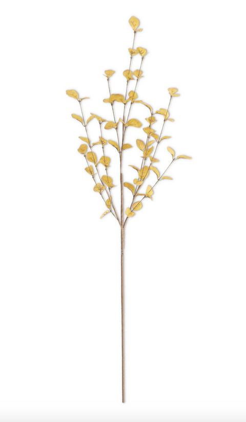 34" Yellow Eucalyptus Stem