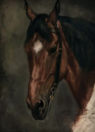 Horse Portrait Board
