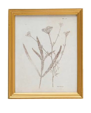 Dried Botanicals Framed Wall Art, two styles