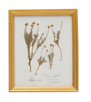 Dried Botanicals Framed Wall Art, two styles