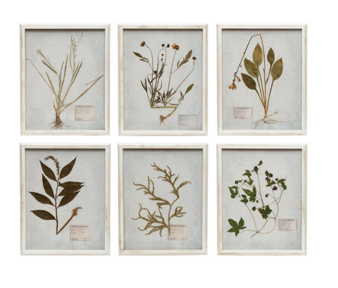 White Framed Botanical Art, 6 styles