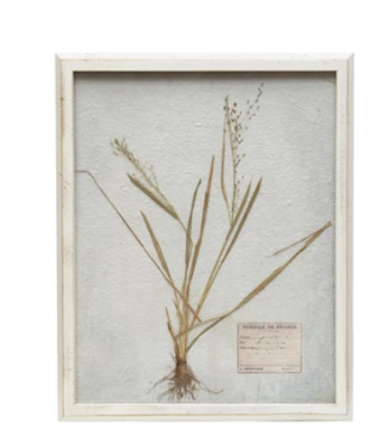 White Framed Botanical Art, 6 styles