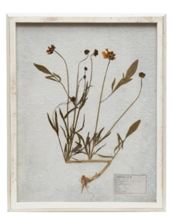 White Framed Botanical Art, 6 styles