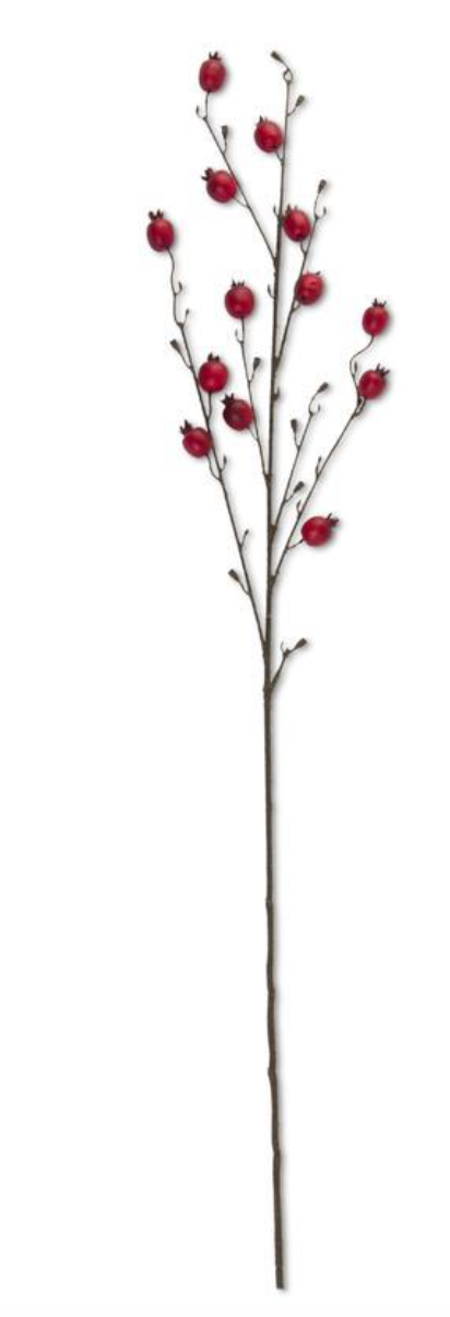 41" Red Rosehip Stem