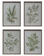 Wood Framed Glass Wall Decor w/ Botanical Print, 4 Styles