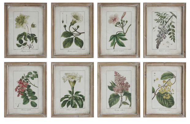 Framed Wall Decor with Floral Image, 8 Styles