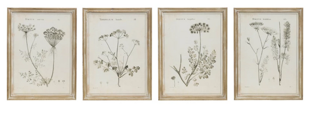 Framed Wall Decor with Botanical Print, 4 Styles