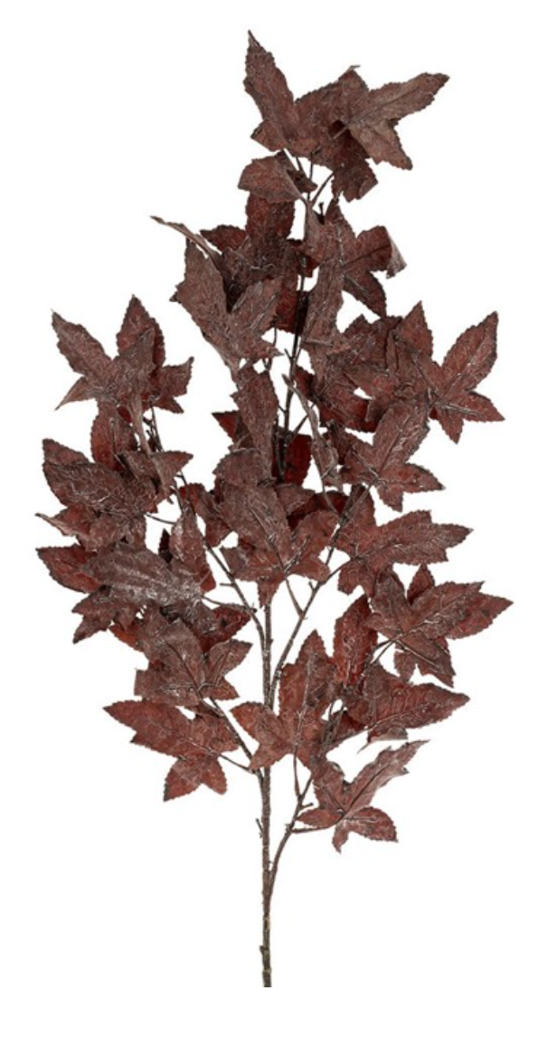 Maple Leaf Branch, Purple