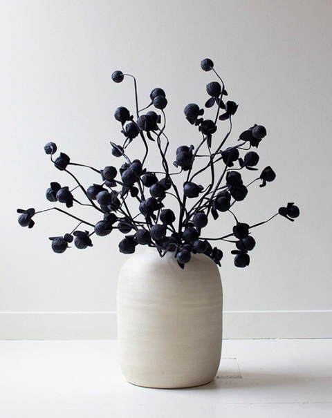 Black Botanica, 2 Styles