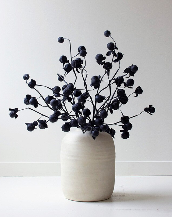 Black Botanica, 2 Styles