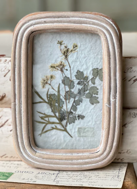 Wakefield Botanical Frame, 3 Styles
