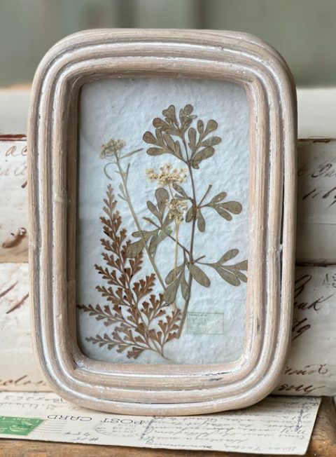 Wakefield Botanical Frame, 3 Styles