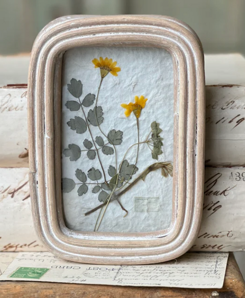 Wakefield Botanical Frame, 3 Styles