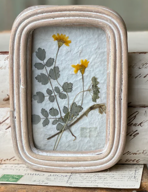 Wakefield Botanical Frame, 3 Styles