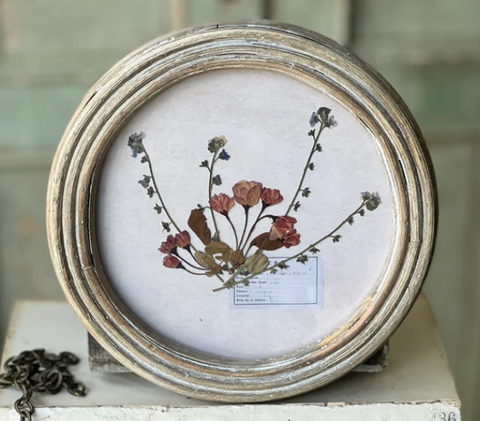 Fern Botanical Frame, 2 Styles