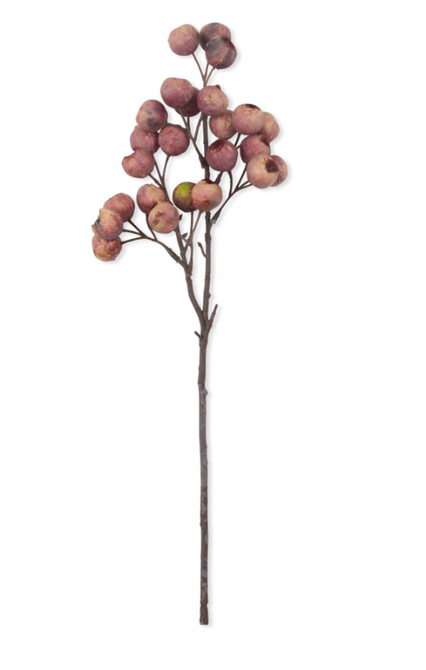 Hawthorne Berry Eventide