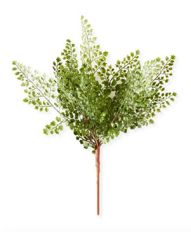 16" Maidenhair Fern Spray Stem