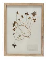 Framed Wall Decor with Botanicals, 6 Styles