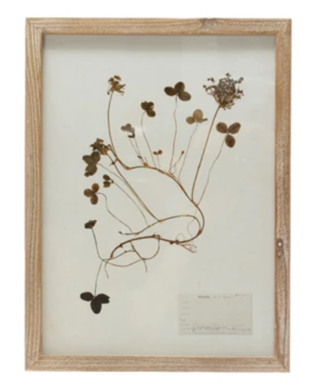 Framed Wall Decor with Botanicals, 6 Styles