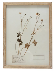 Framed Wall Decor with Botanicals, 6 Styles