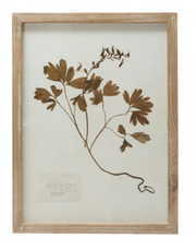 Framed Wall Decor with Botanicals, 6 Styles